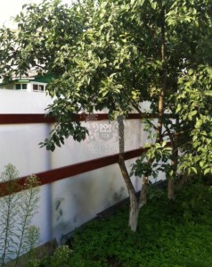Забор дачный №1.1